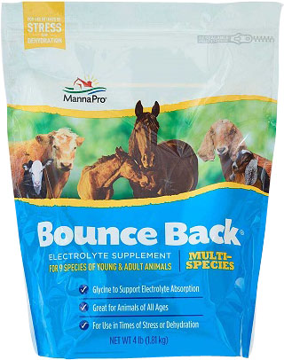 BOUNCE BACK MULTI SPECIES ELECTROLYTE SUPPLEMENT