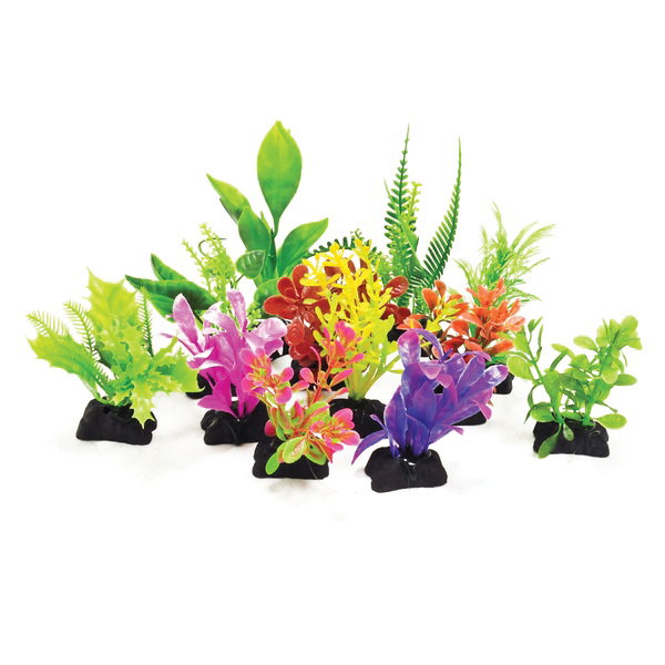 PROFIT POWER PACK PLANTS