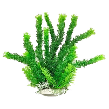 AQUARIUM PLANT WITH WEIGHTED BASE