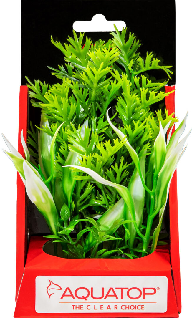 AQUATOP VIBRANT WILD PLANT BOXED