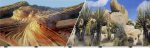 BACKGROUNDS