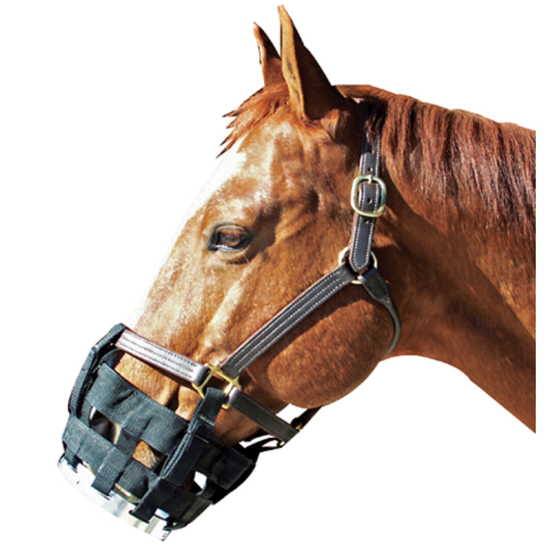 FREE-TO-EAT CRIBBING MUZZLE