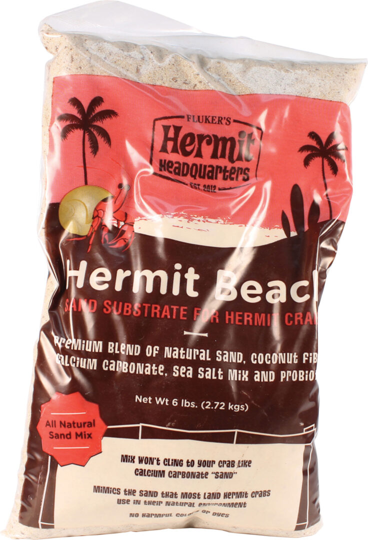 HERMIT HEADQUARTERS HERMIT CRAB BEACH SAND