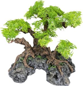 PLANTS
