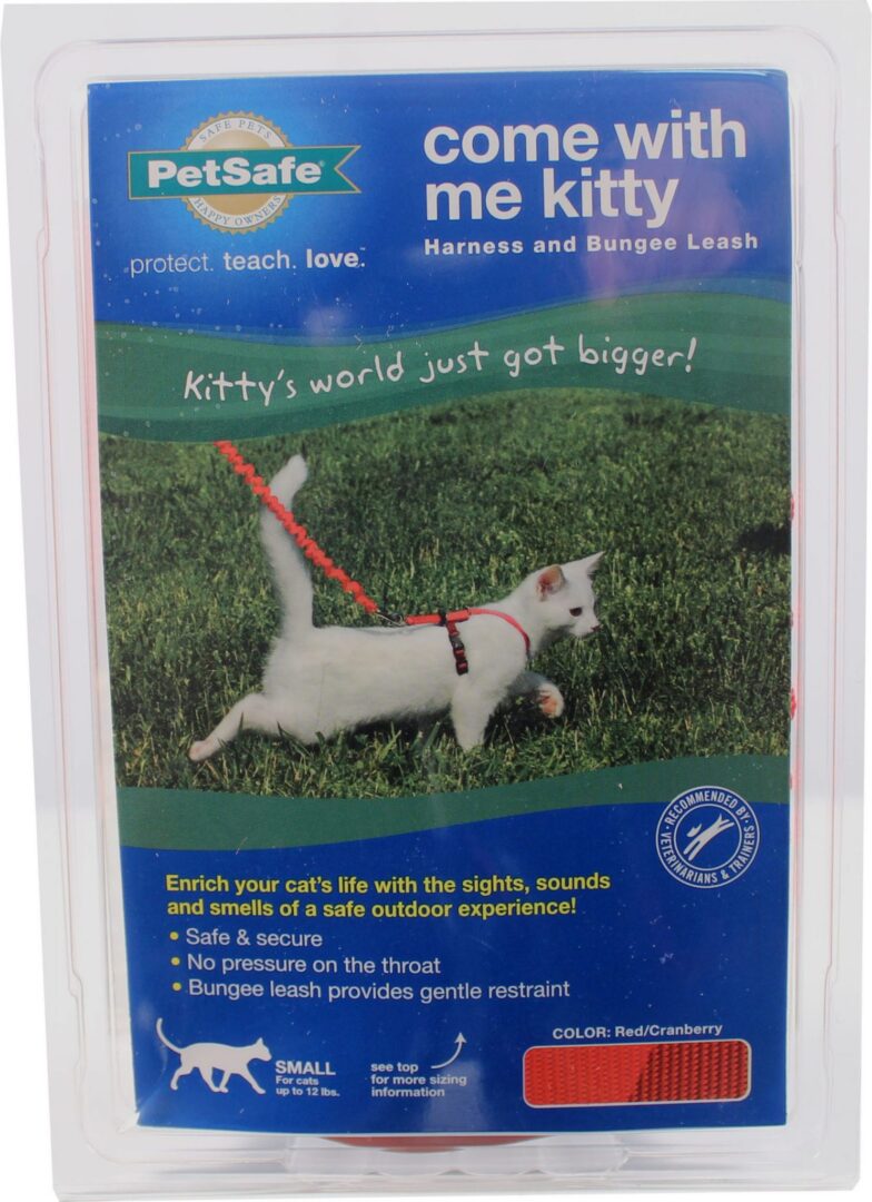 COME WITH ME KITTY HARNESS & BUNGEE LEASH