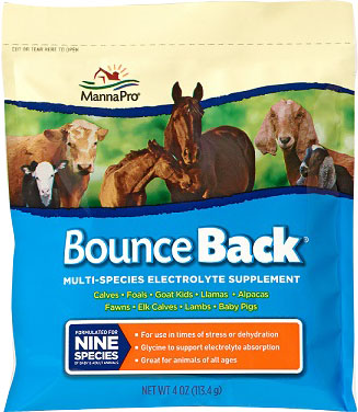 BOUNCE BACK MULTI-SPECIES ELECTROLYTE SUPPLEMENT