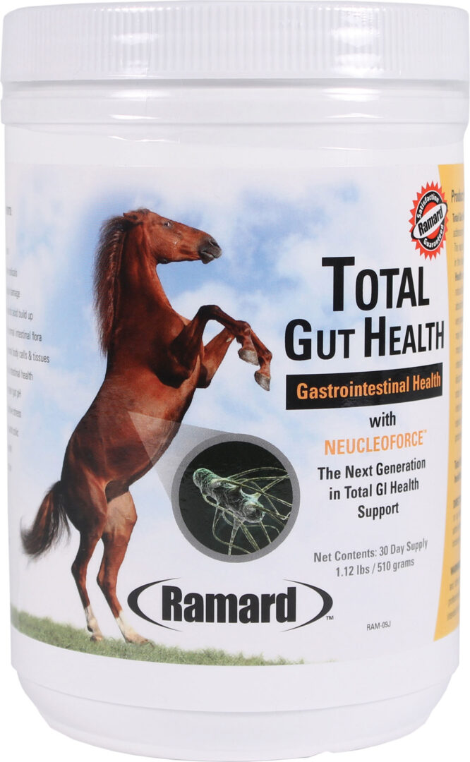 TOTAL GUT HEALTH SUPPLEMENT FOR HORSES