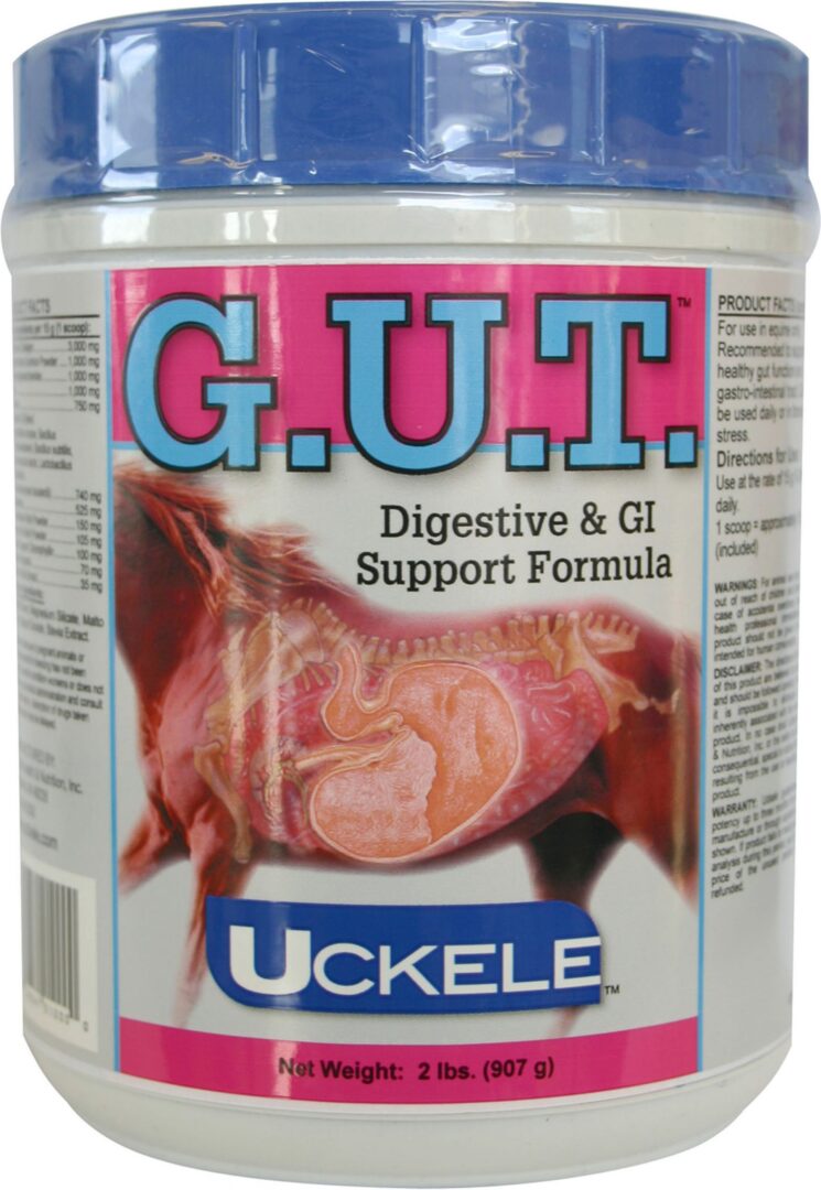 GUT POWDER