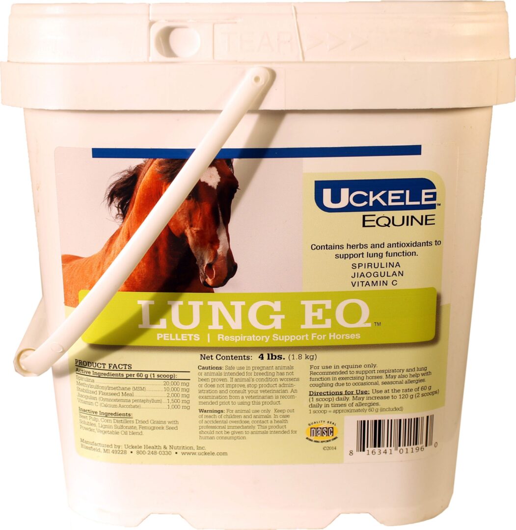 LUNG EQ