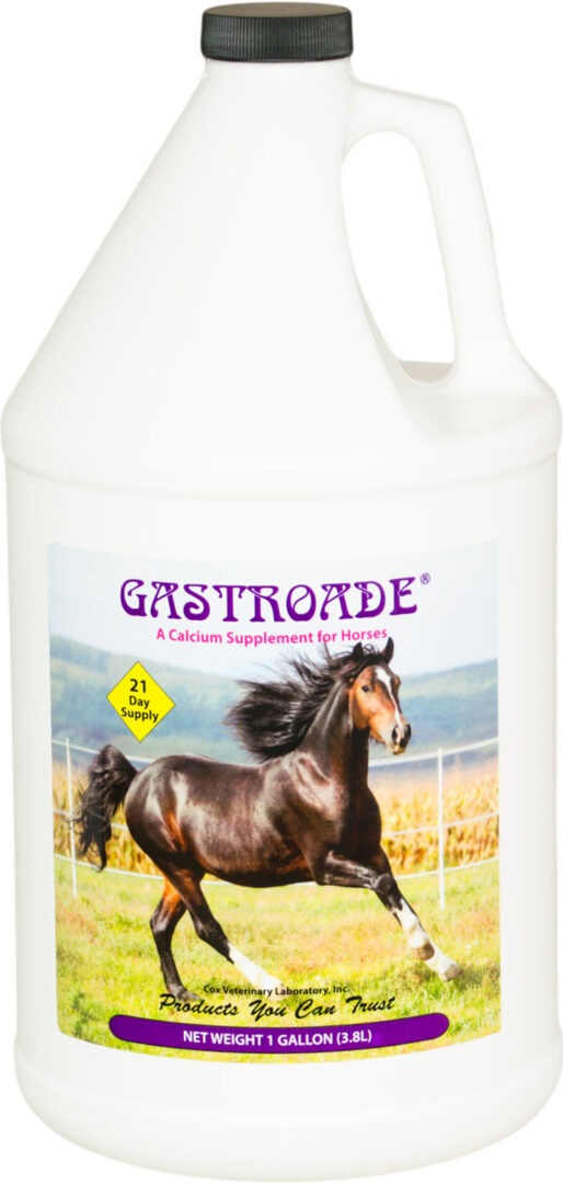COX GASTROADE CALCIUM SUPPLEMENT