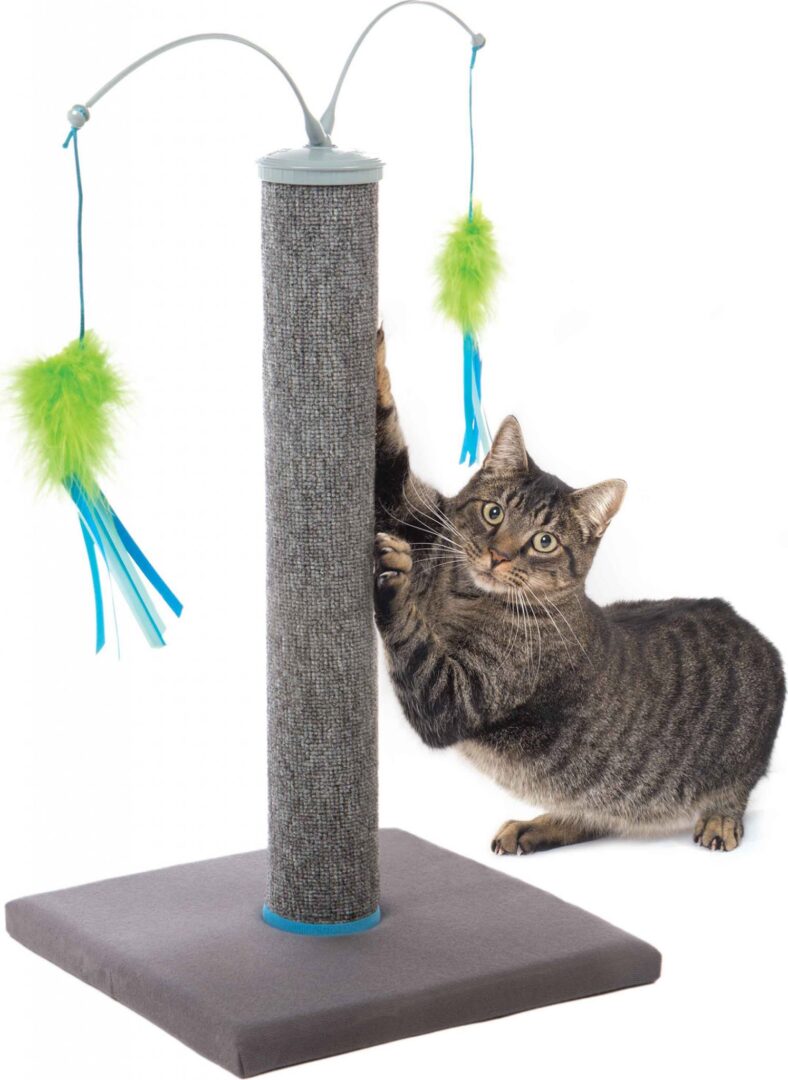 SMARTYKAT SCRATCH 'N SPIN SCRATCHING POST W/SPIN