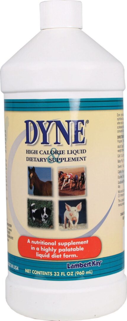 DYNE HIGH CALORIE SUPPLEMENT FOR DOGS