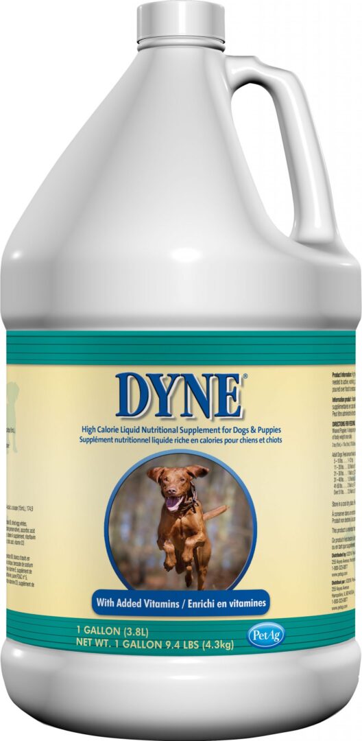 DYNE HIGH CALORIE SUPPLEMENT
