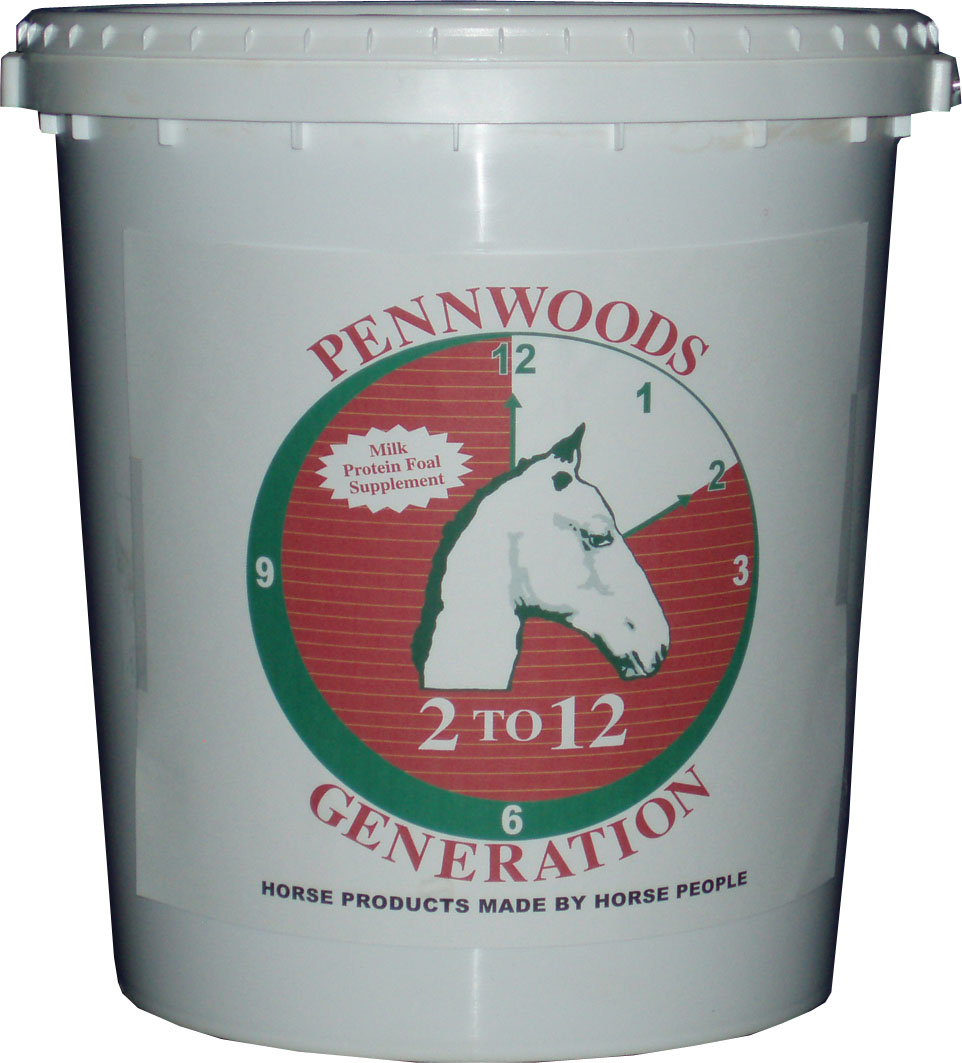 2 TO 12 GROWTH SUPPLEMENT FOR FOALS