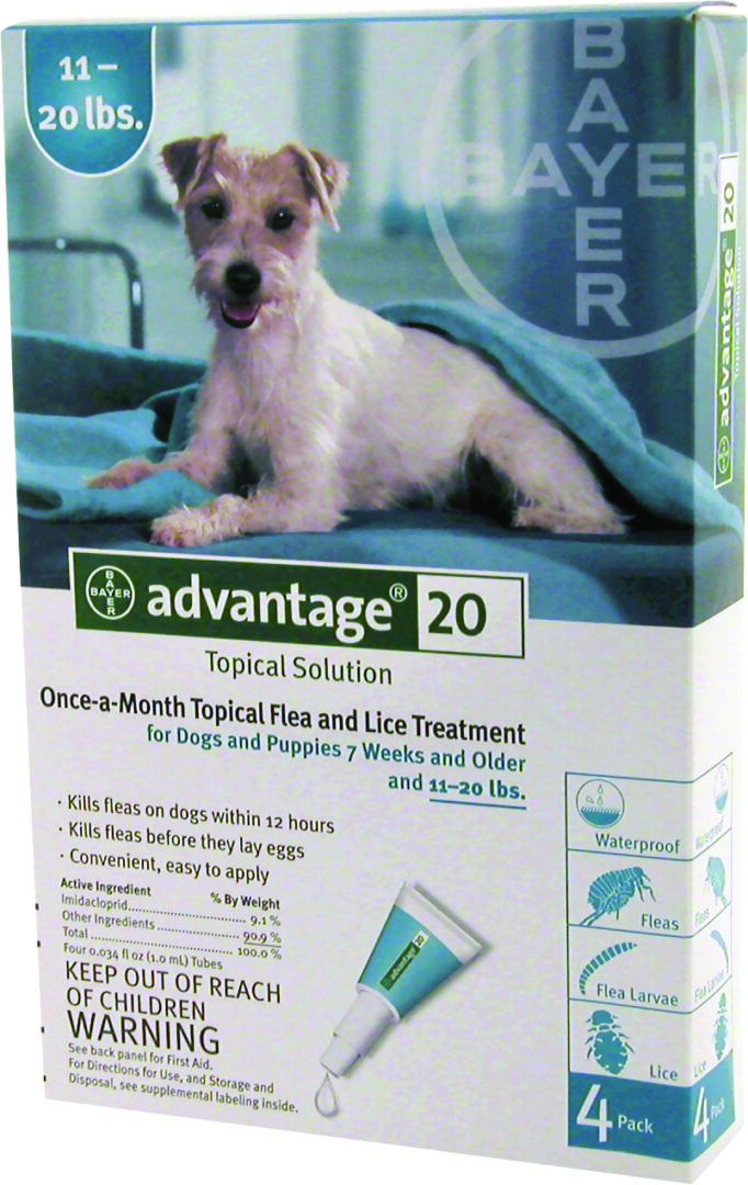 ADVANTAGE 2 DOG TEAL