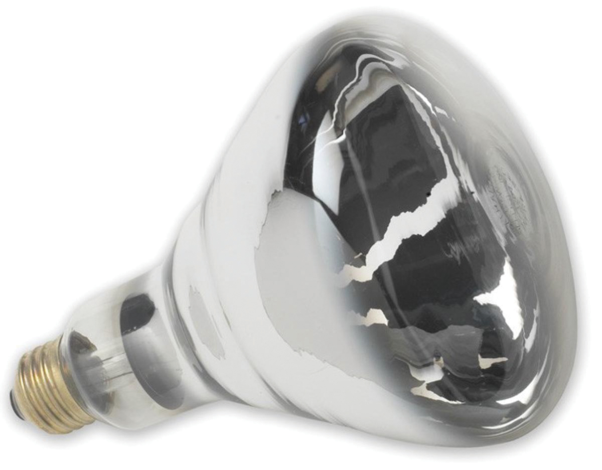 HEAT LAMP BULB