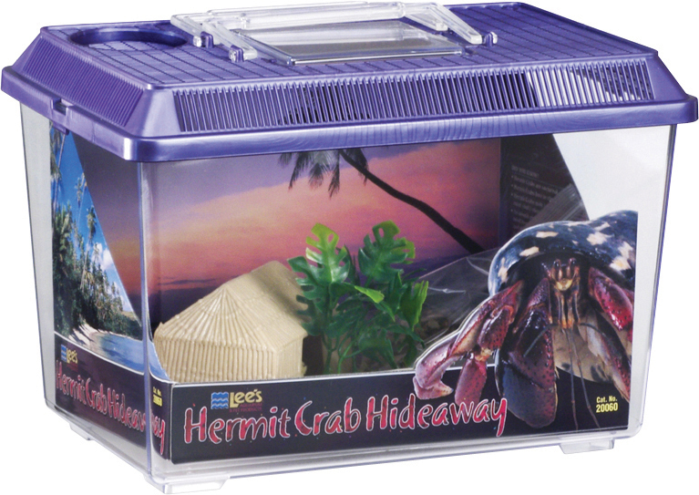 HERMIT CRAB HIDEAWAY KIT