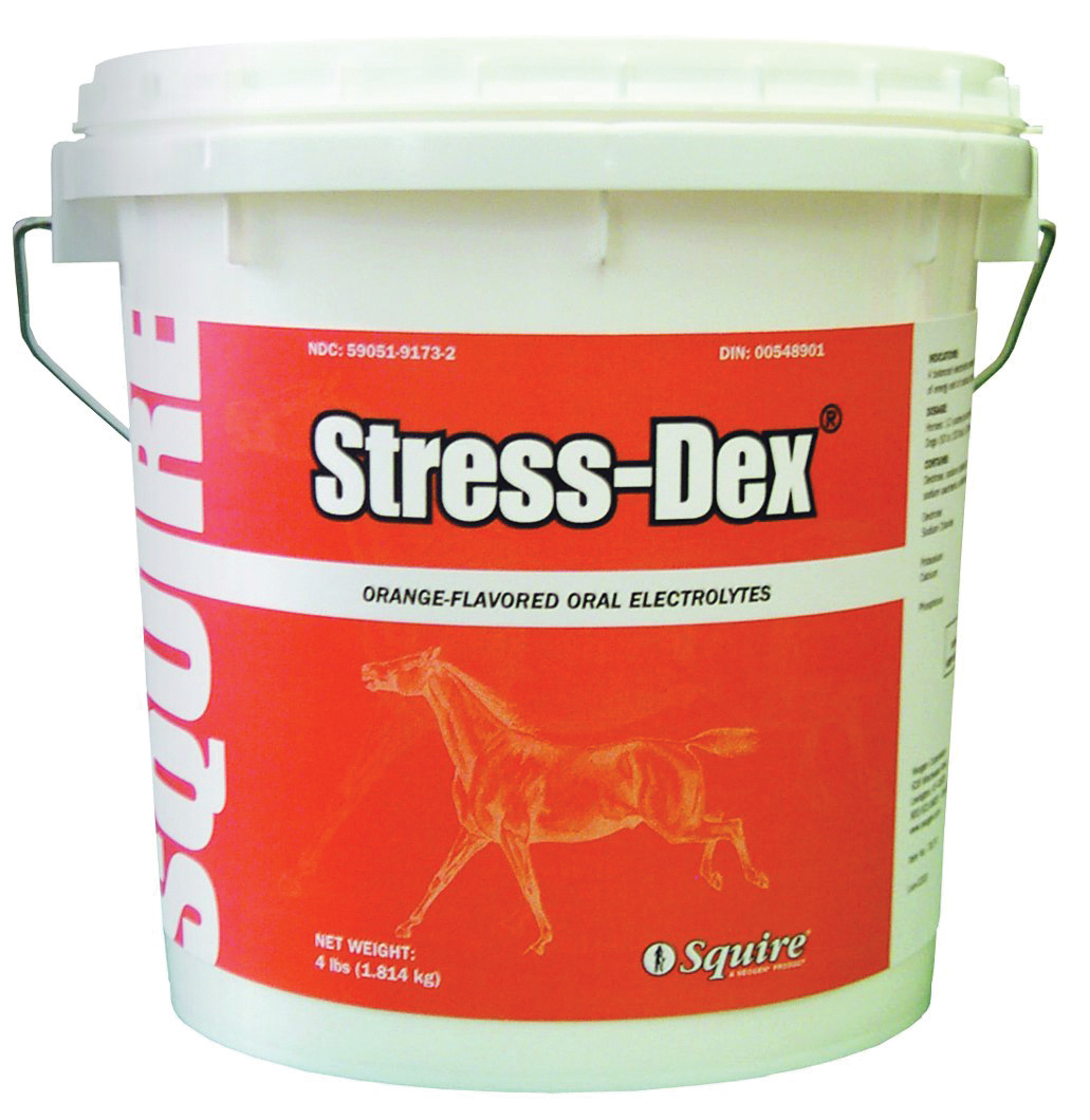 SQUIRE STRESS-DEX ORAL ELECTROLYTE FOR HORSES