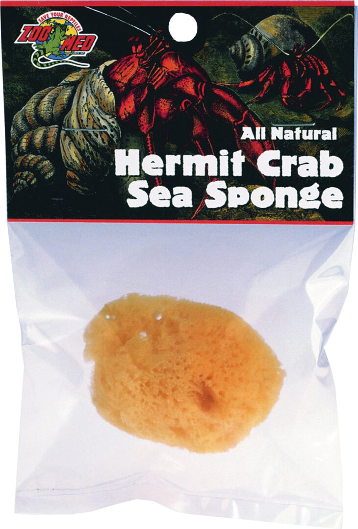 ALL NATURAL HERMIT CRAB SEA SPONGE
