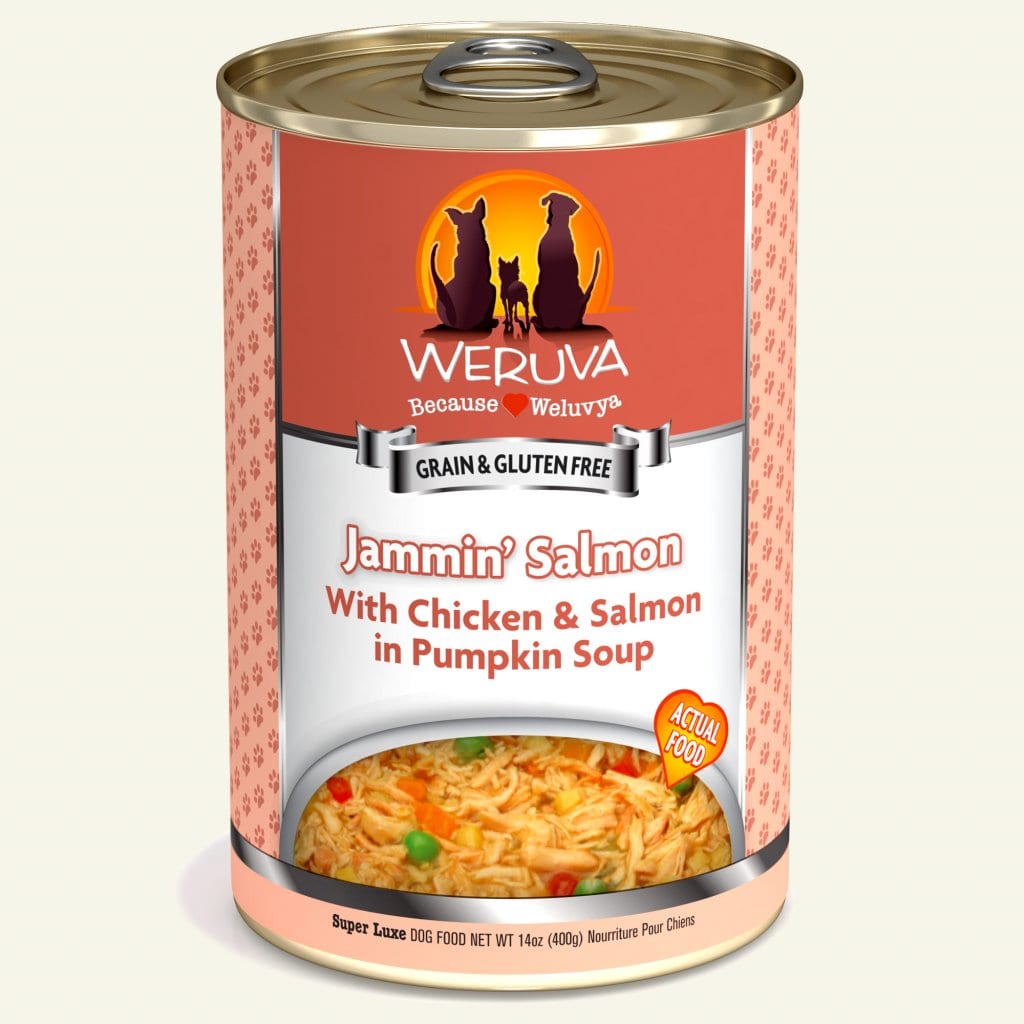 WERUVA DOG JAMMIN' SALMON 14OZ CASE OF 12 CANS