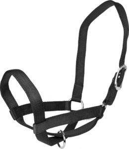 Livestock Equip. & Supplies