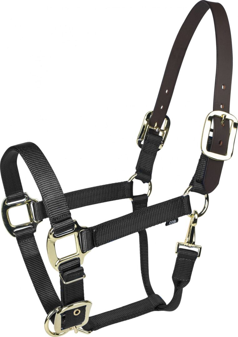 GATSBY GOLD NYLON BREAKAWAY HALTER