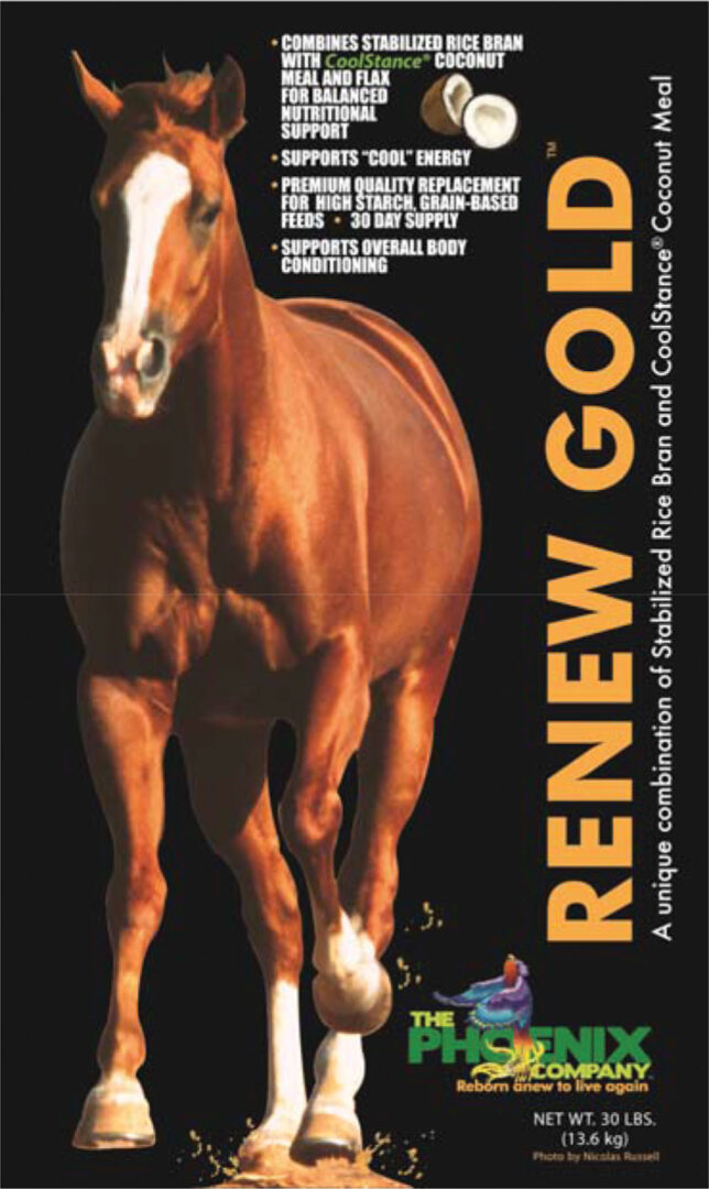 RENEW GOLD NUTRITIONAL SUPPLEMENT FOR HORSES
