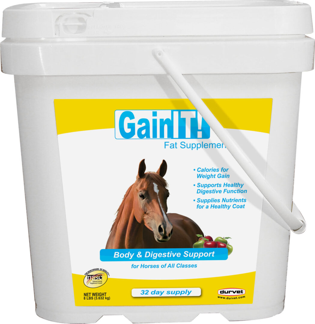 GAIN IT FAT SUPPLEMENT EQUINE