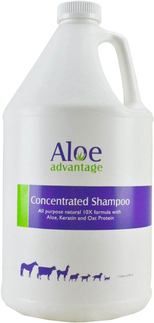 ALOE ADVANTAGE CONCENTRATED SHAMPOO 8:1
