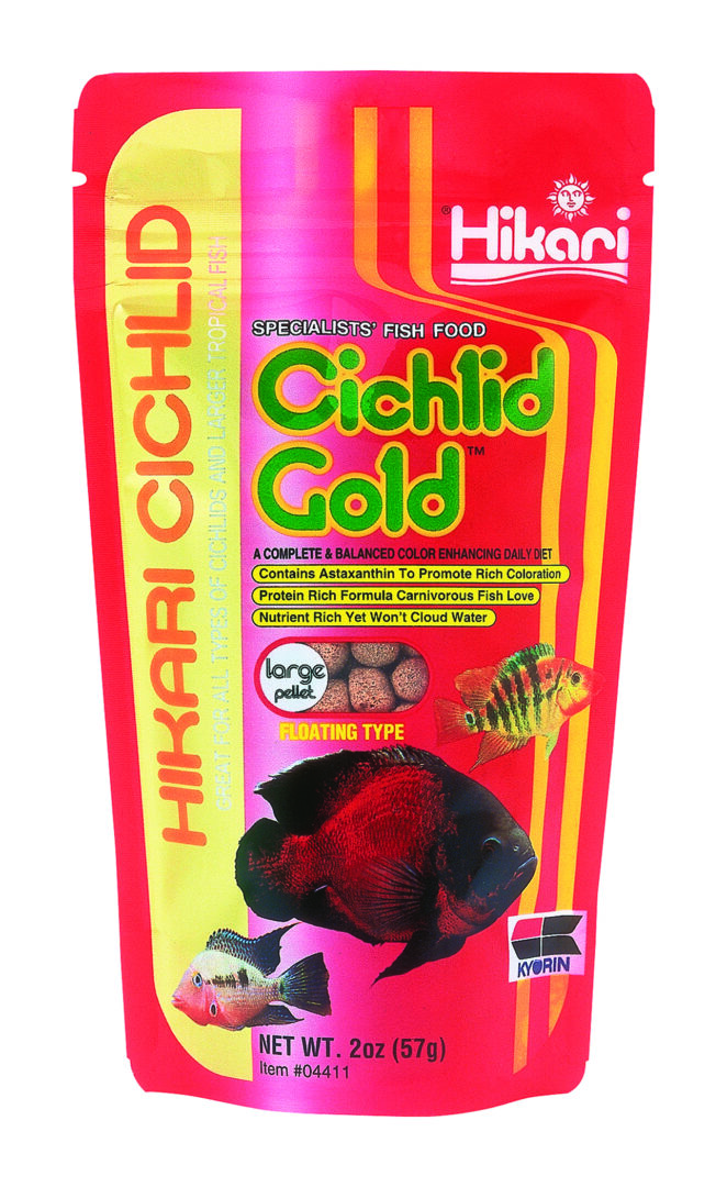 CICHLID GOLD