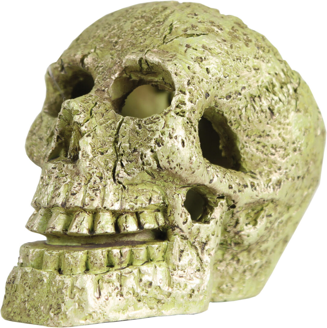 GLOFISH SKULL AQUARIUM ORNAMENT