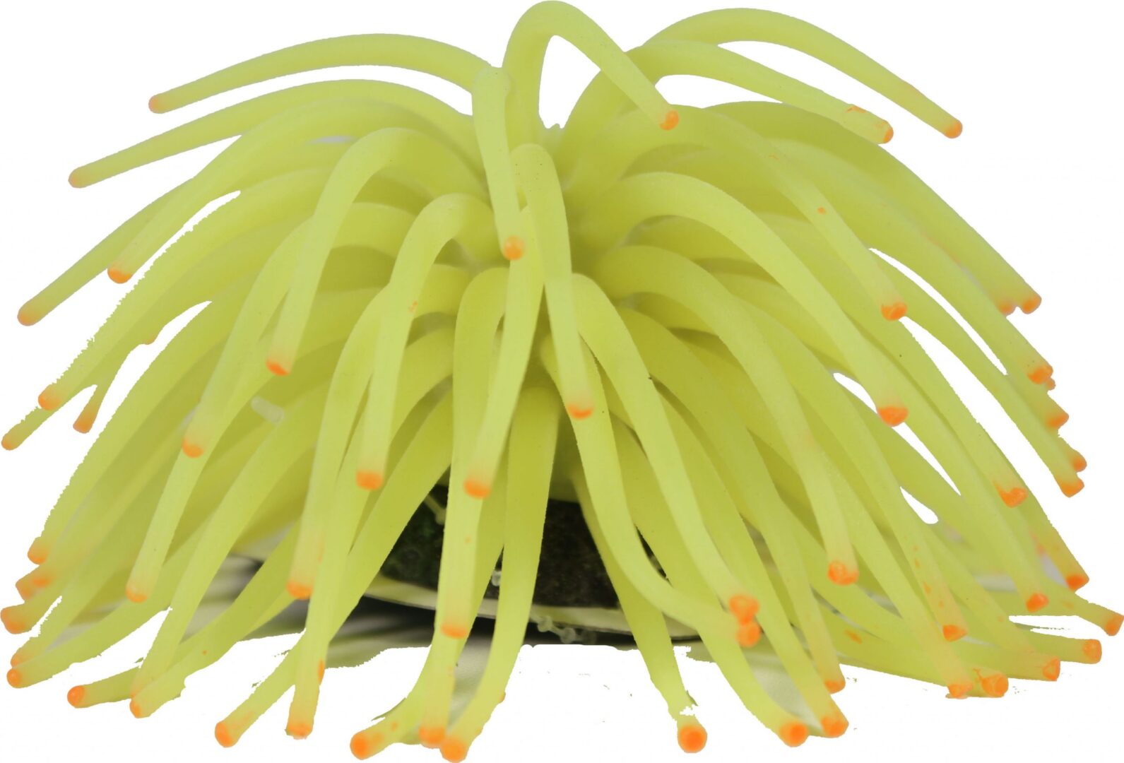 GLOFISH YELLOW ANEMONE ORNAMENT