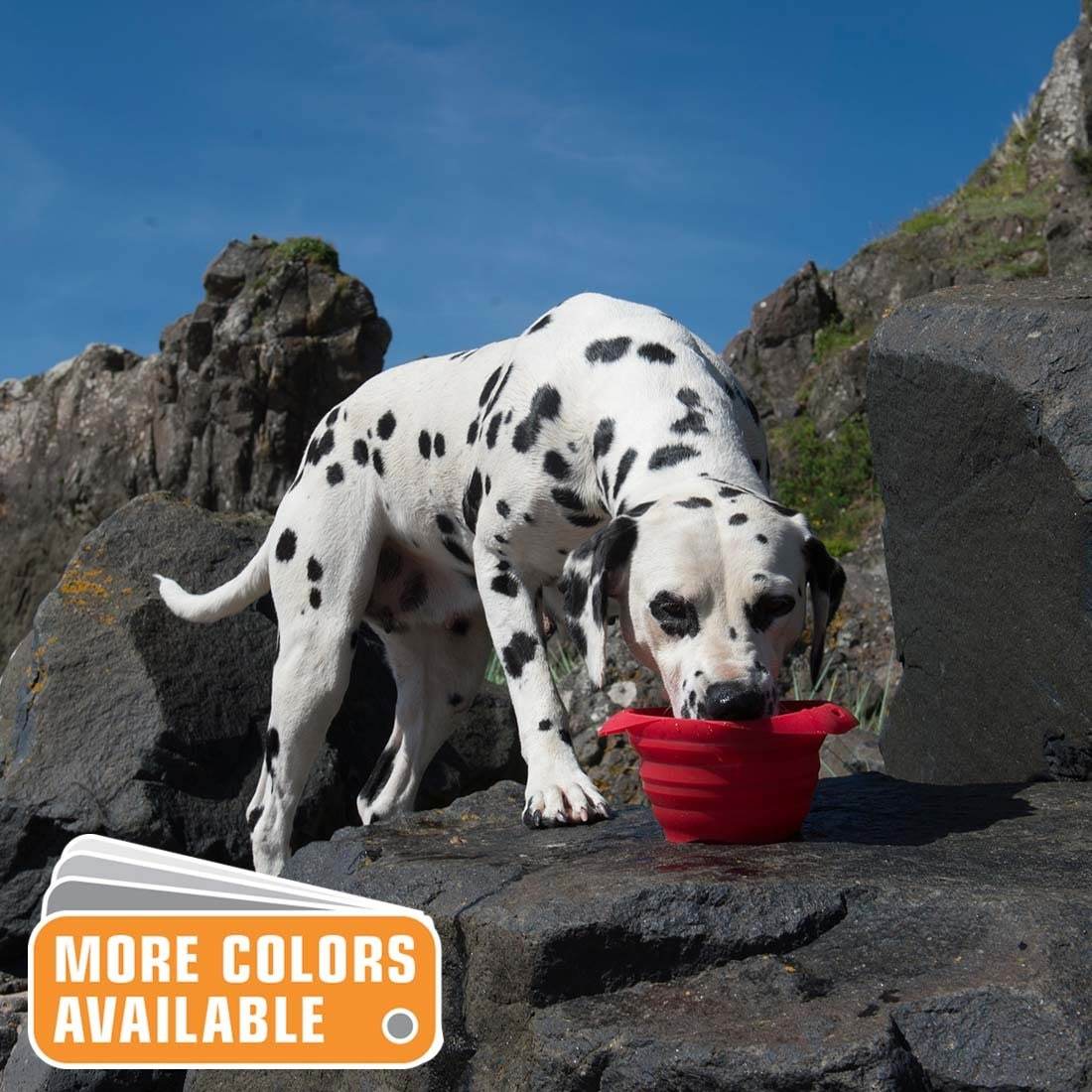 KURGO DOG COLLAPS-A-BOWL BLUE