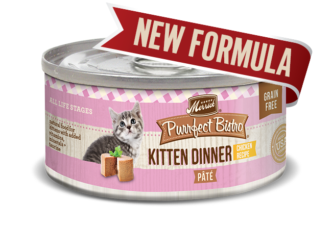 PURRFECT BISTRO CAT GRAIN FREE PATE KITTEN 3OZ CASE OF 24 CANS