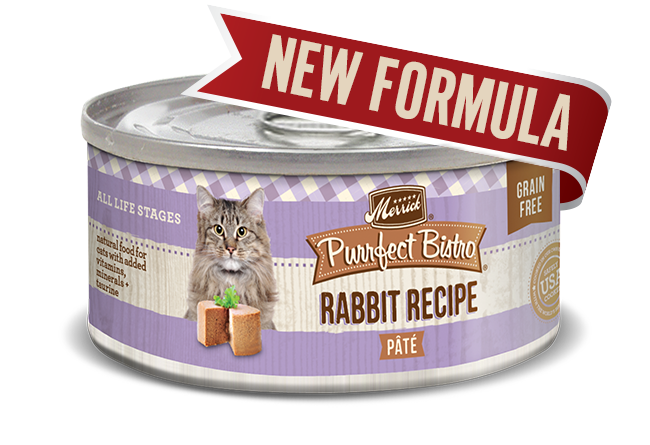 PURRFECT BISTRO CAT PATE RABBIT 3OZ CASE OF 24 CANS