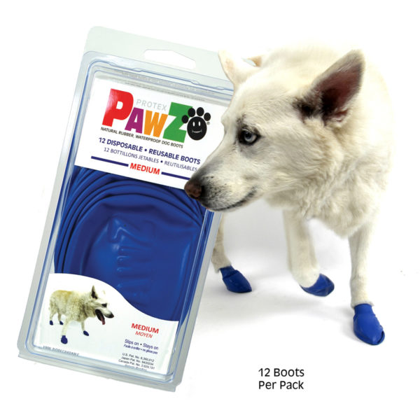 PAWZ DOG BOOTS BLUE MEDIUM 12 COUNT