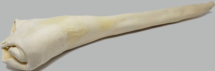 HOME RANGE BULL TAIL