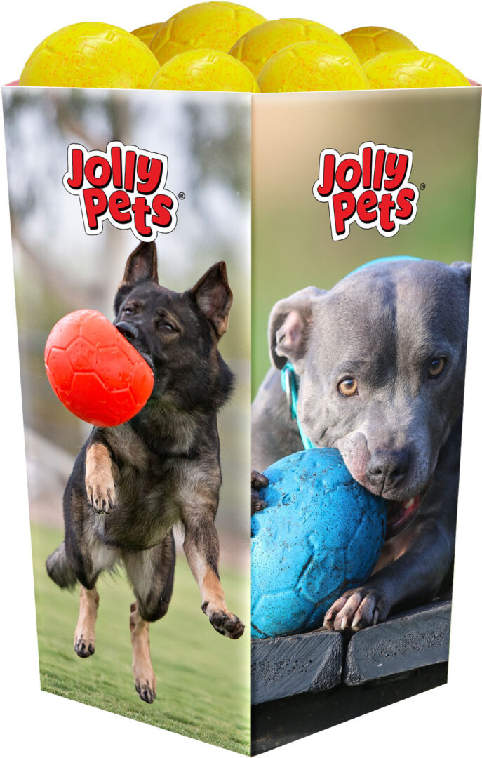 JOLLY PETS LIMITED EDITION SUMMER SUNSHINE SOCCER