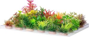 PLASTIC PLANTS