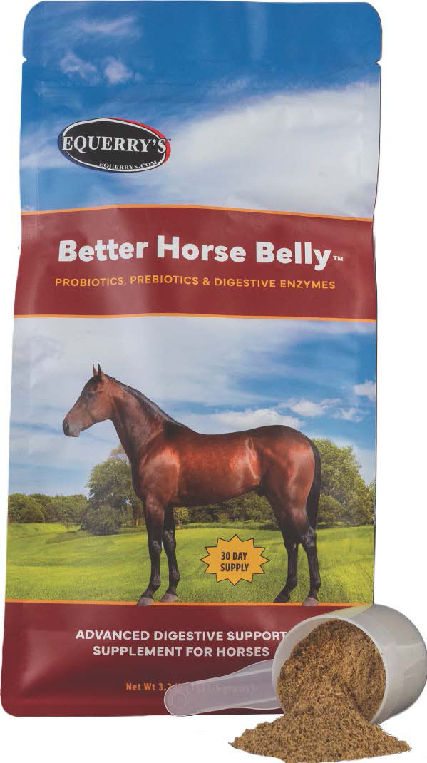 AHS EQUERRY'S BETTER HORSE BELLY