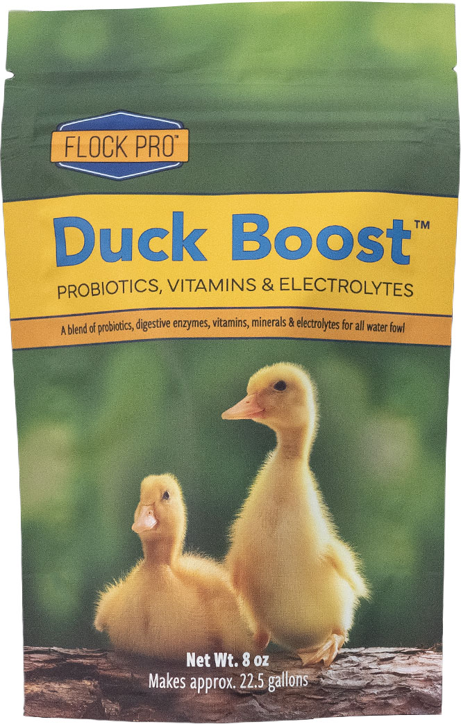 AHS FLOCK PRO DUCK BOOST PROBIOTICS