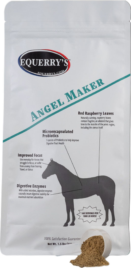 AHS EQUERRY'S ANGEL MAKER EQUINE SUPPLEMENT
