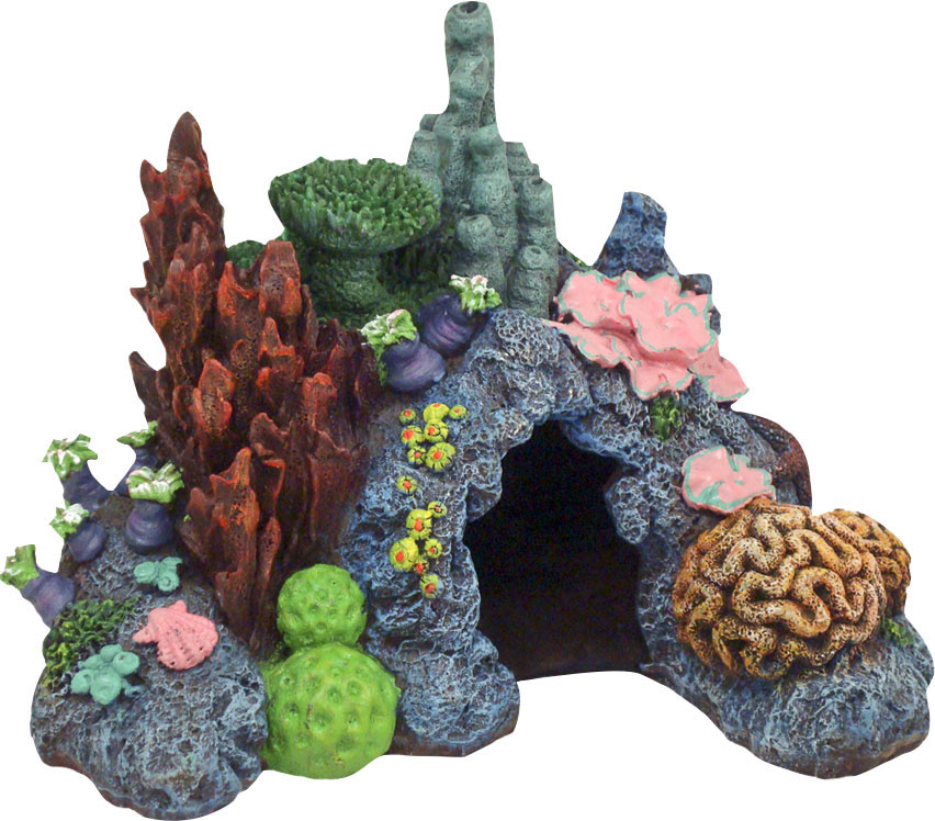EXOTIC ENVIRONMENTS CARIBBEAN LIVING REEF