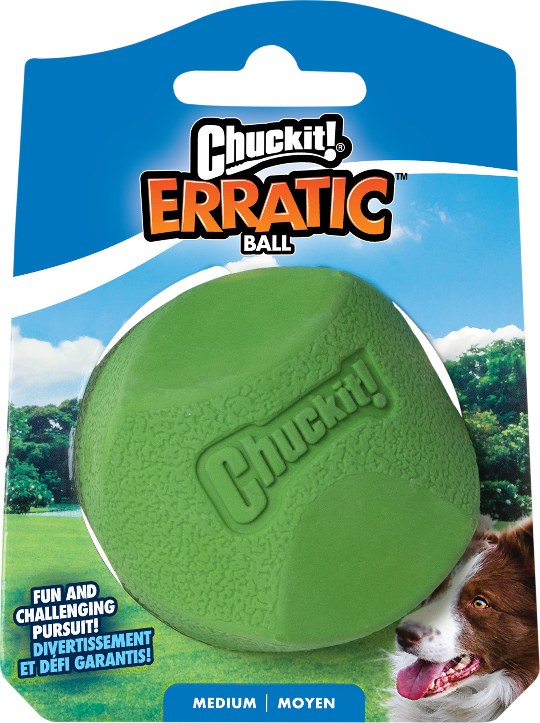 CHUCKIT! ERRATIC BALL