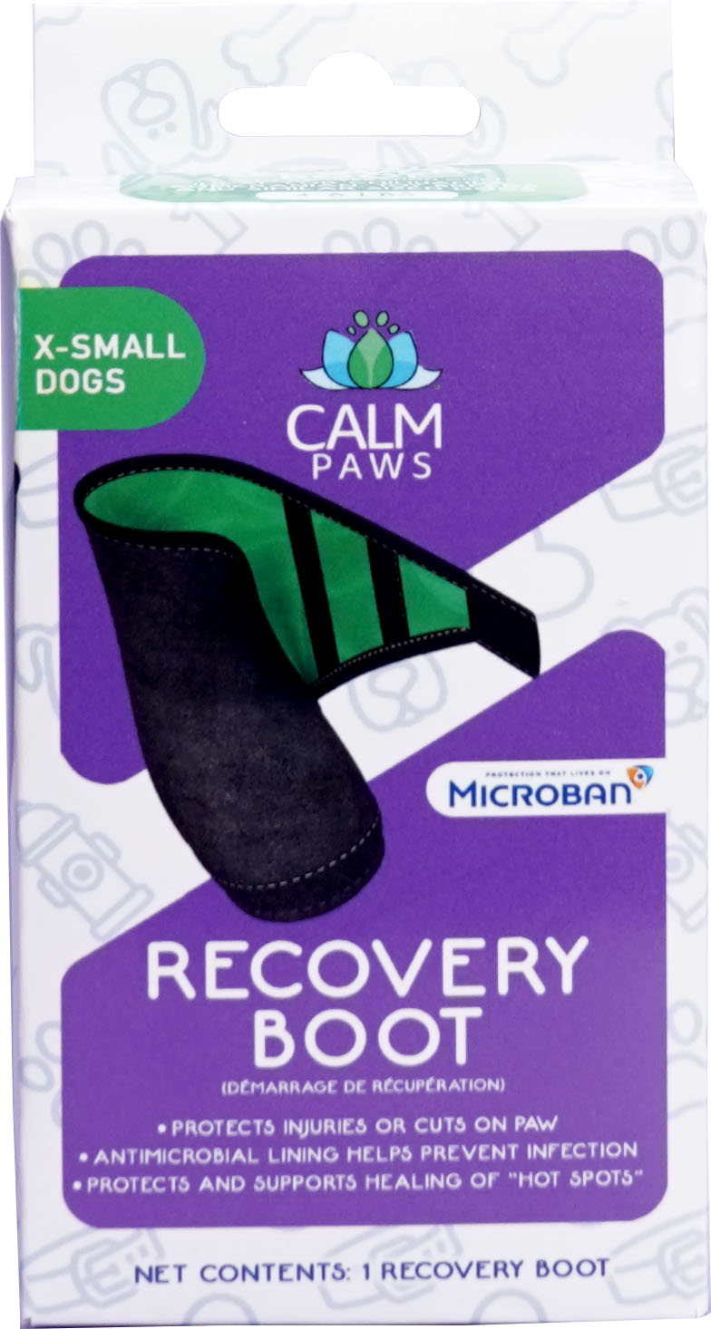 CALM PAWS RECOVERY BOOT
