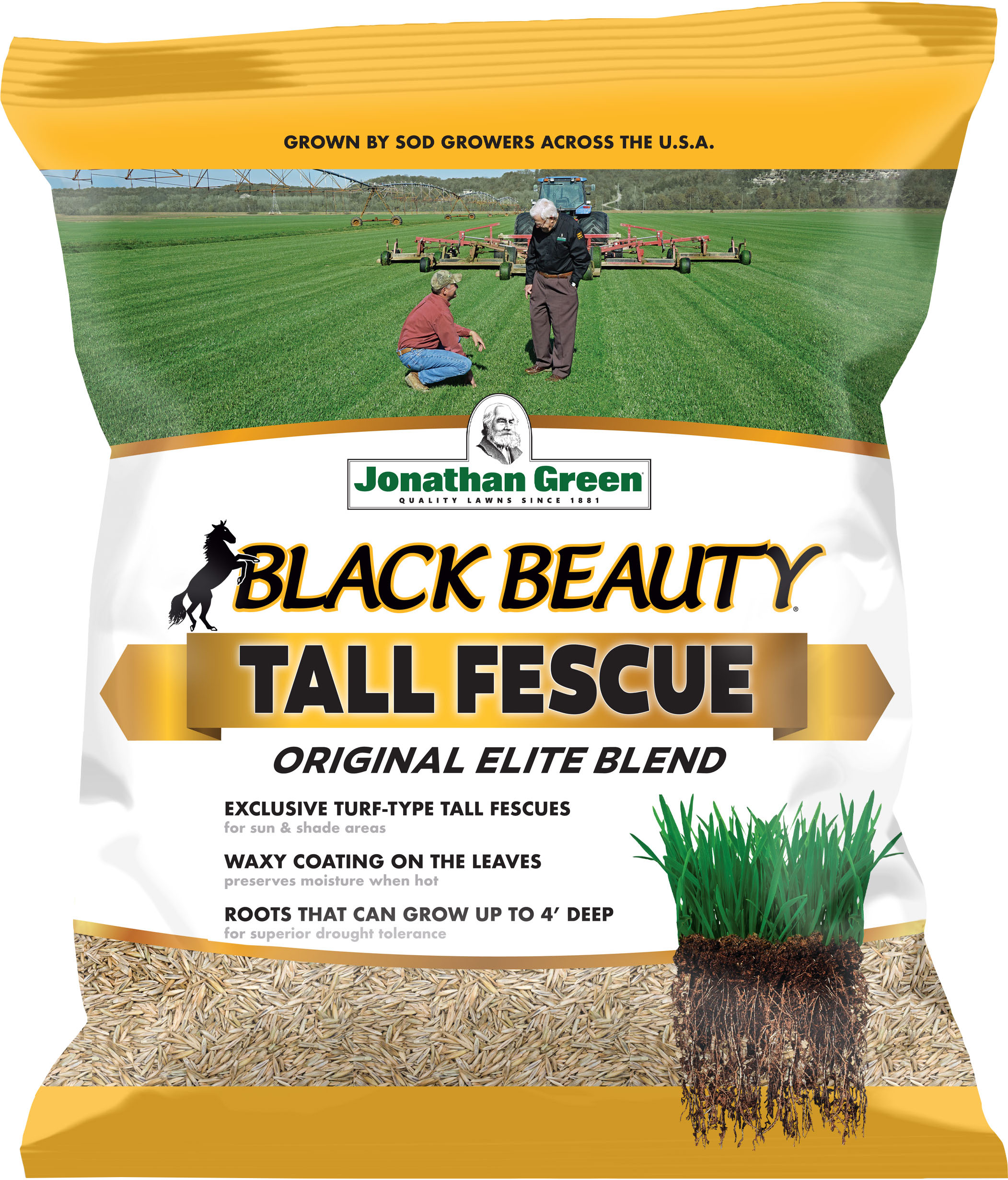 BLACK BEAUTY TALL FESCUE GRASS SEED MIXTURE