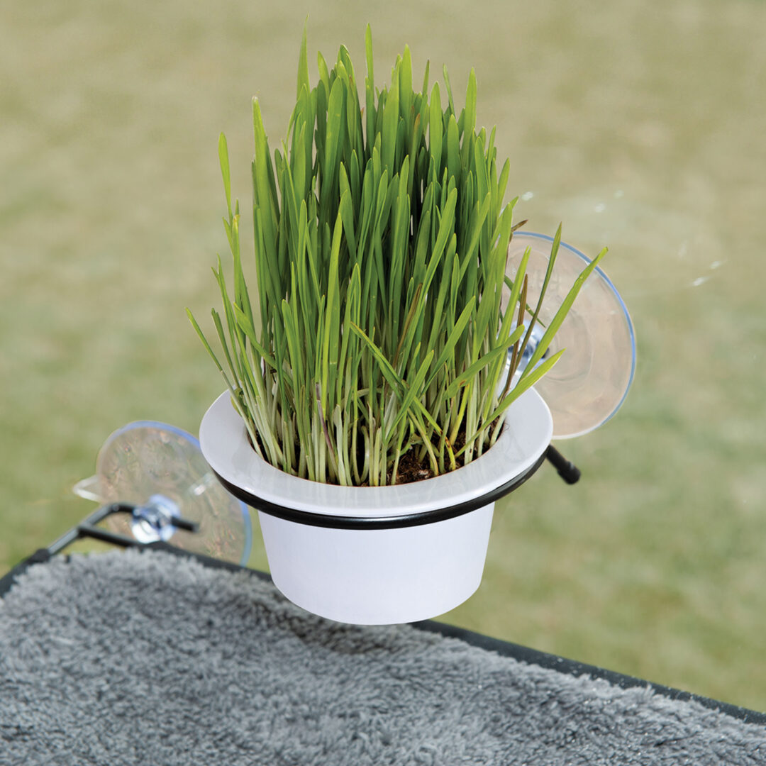 K&H EZ MOUNT CAT GRASS GROW STATION