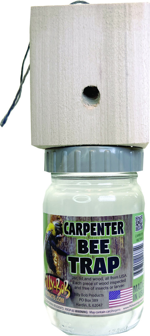 BILLY BOB CARPENTER BEE TRAP