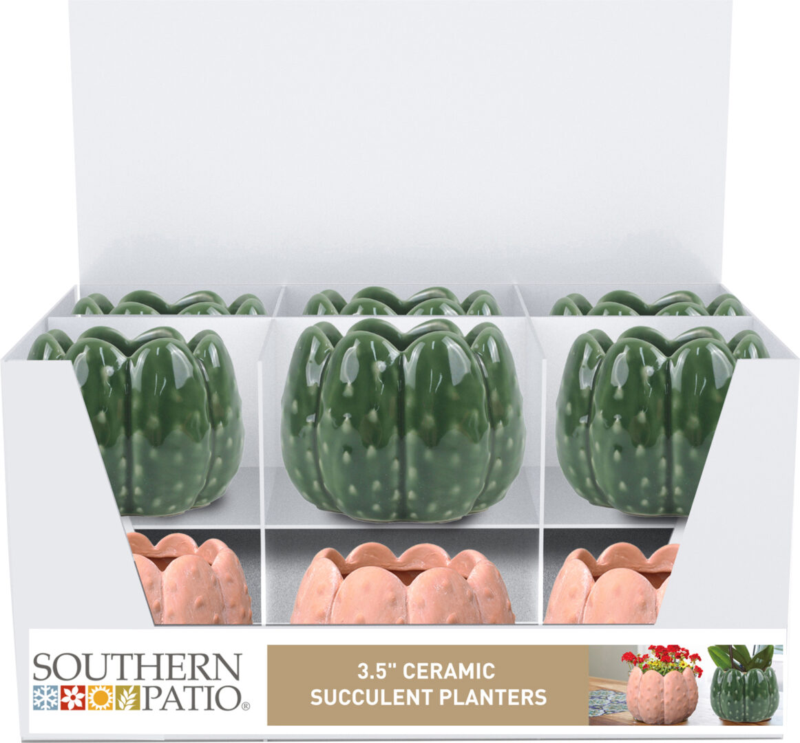 SOUTHERN PATIO WILDER CACTUS & SUCCULENT TRAY PACK
