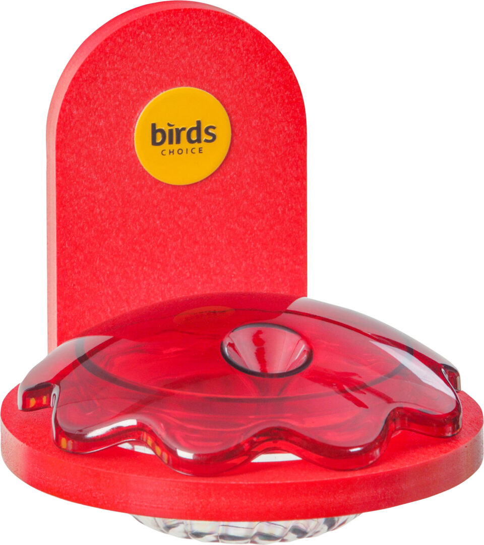 BIRD'S CHOICE RECYLCED PLASTIC WINDOW HBIRD FEEDER